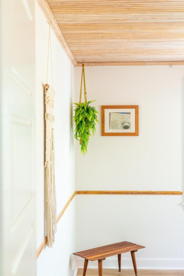 Hip Island House Villa Charleston Dış mekan fotoğraf
